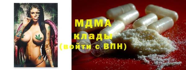 мдпв Михайлов