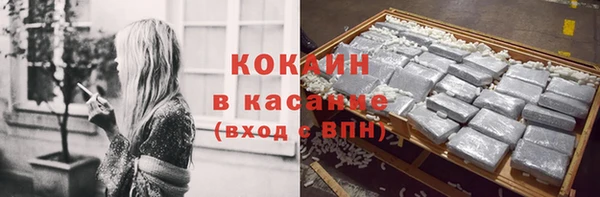 мдпв Михайлов