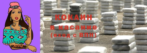 мдпв Михайлов