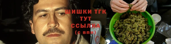 мдпв Михайлов