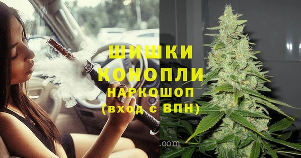 мдпв Михайлов