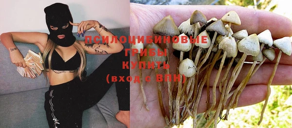 мдпв Михайлов