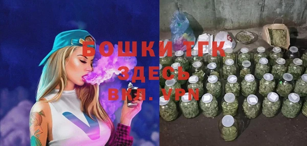 мдпв Михайлов