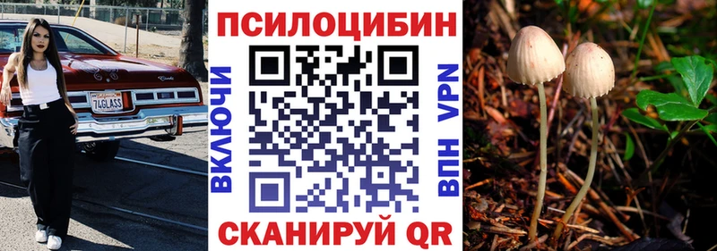 Псилоцибиновые грибы GOLDEN TEACHER Оренбург